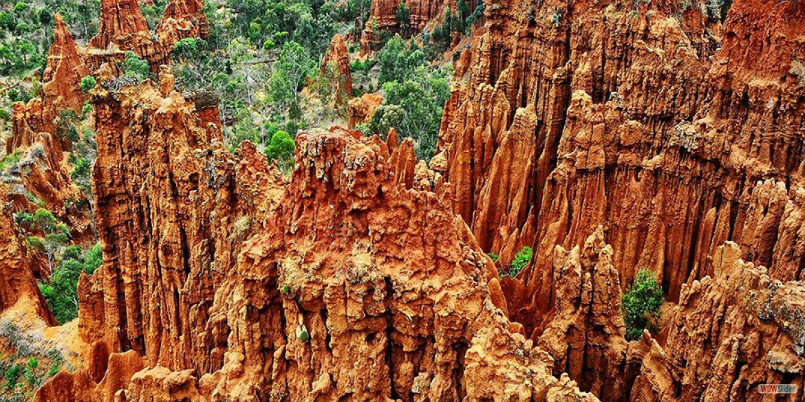 3707d8f2be163bd14c78cf07586f13bb_XL